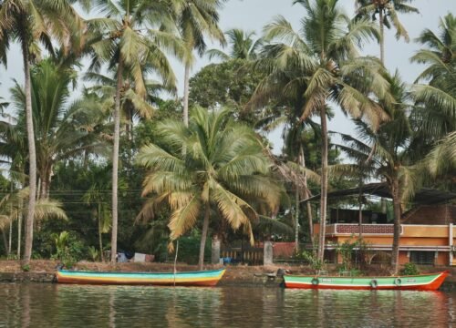 Munnar, Thekkady & Alleppey Tour Packages