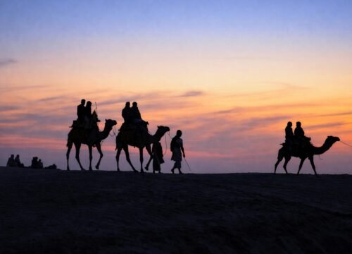 Rajasthan Family Holiday