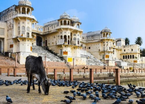 Pushkar Spiritual Escape
