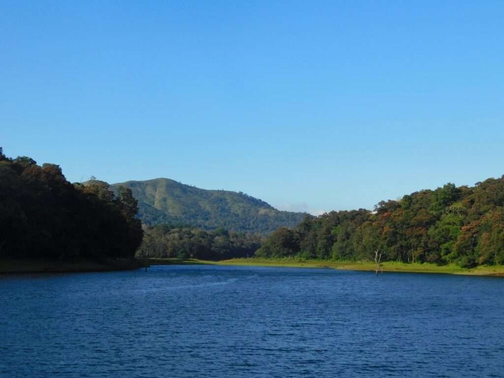 Thekkady (Periyar National Park) - Wildlife and Spice Trails