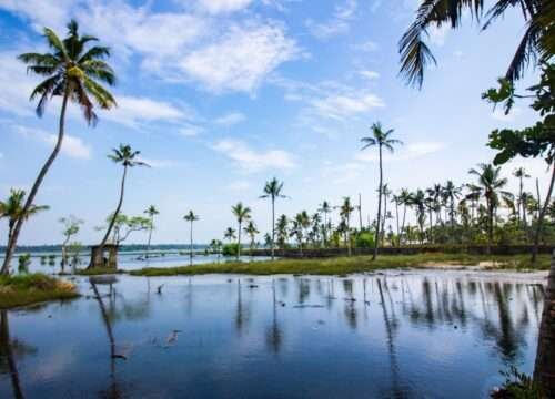 17 Best Places to Visit in Kerala: The Complete 2026 Guide