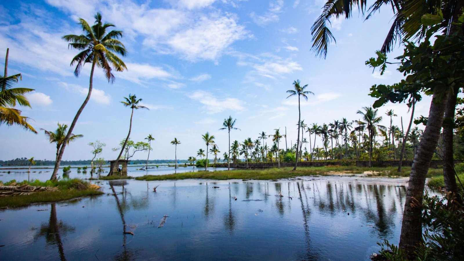 17 Best Places to Visit in Kerala: The Complete 2026 Guide