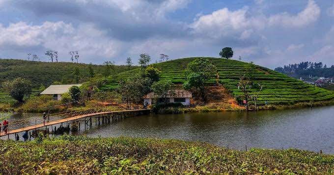 Vagamon - Kerala's Quiet Hill Country