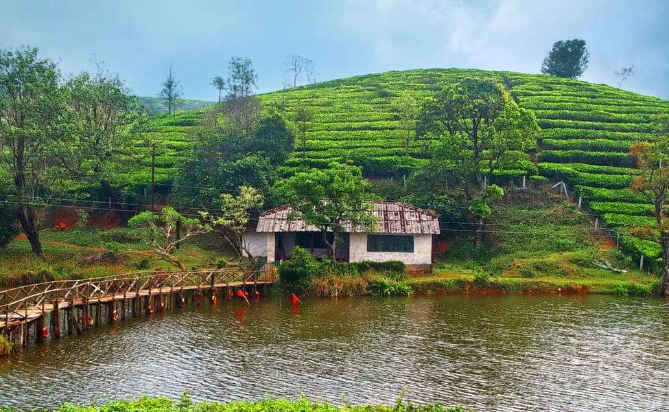 Vagamon - Best Places to Visit in Kerala