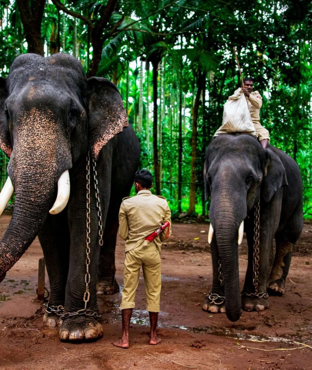 india thrissur