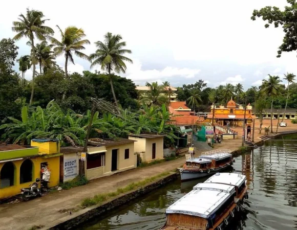 Kerala Wildlife & Spice Tour (5 Nights 6 Days)