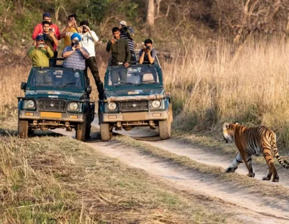 Ranthambore Jungle Luxury Retreat (3 Nights 4 Days)