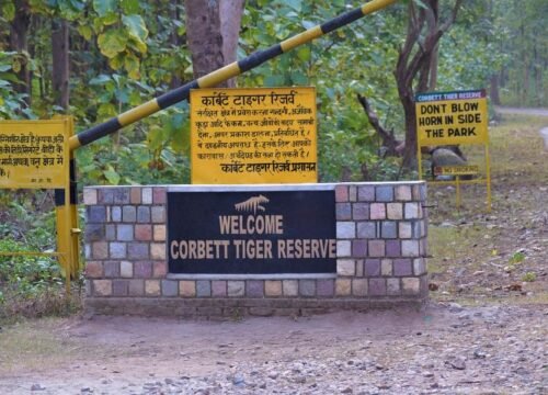 Golden Triangle with Corbett National Park
