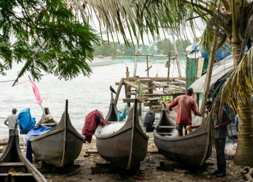 Cochin Backwater Cruise & Culture Tour