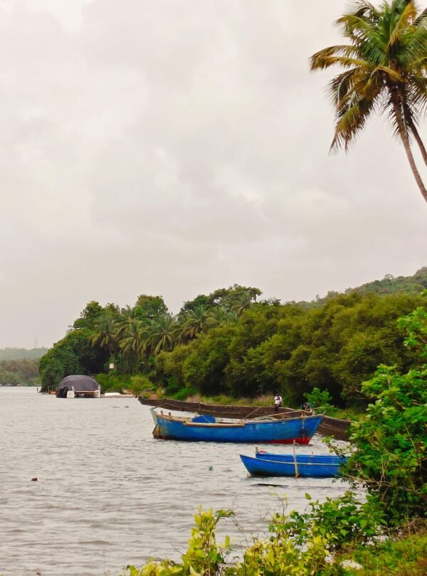 goabeach