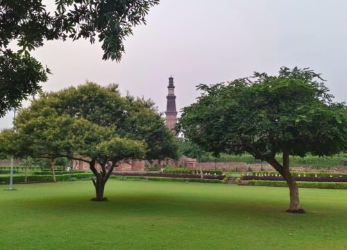 Golden Triangle Tour Package