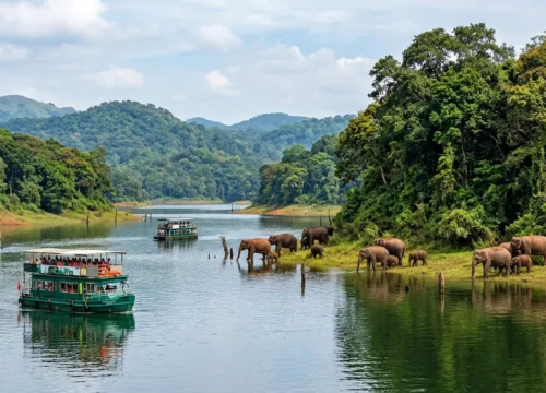 Kochi, Munnar & Thekkady Tour Package