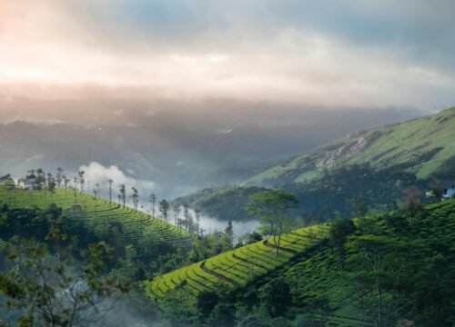 Munnar Weekend Escape