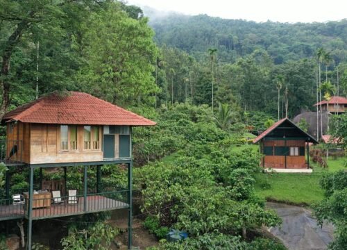Wayanad Wellness & Nature Tour