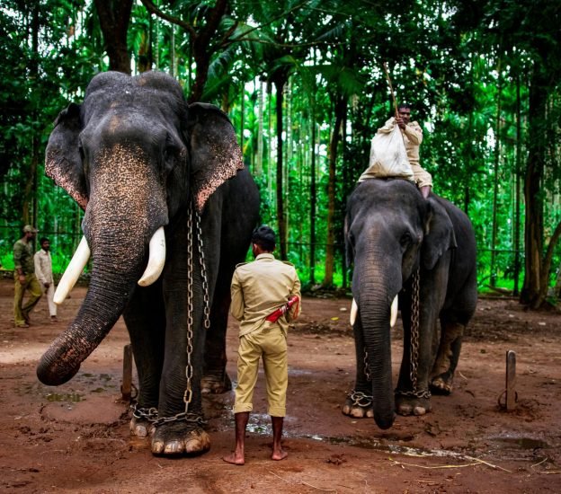 india thrissur